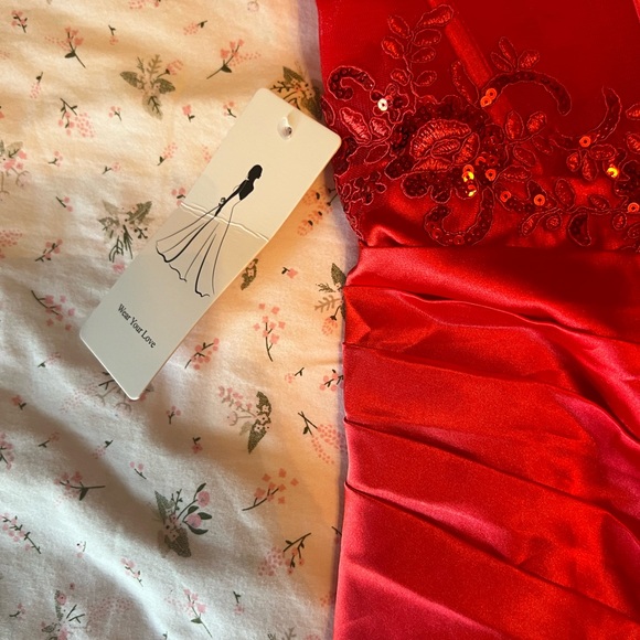 Homecoming- Elegant Red Lace Dress - Picture 6 of 7